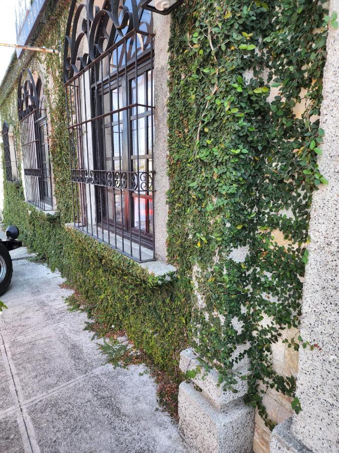 Hotel Villa Antigua 圣萨尔瓦多 外观 照片